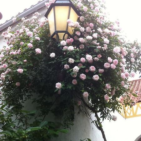 Patio Das Flores Ferreira Do Alentejo Exterior photo