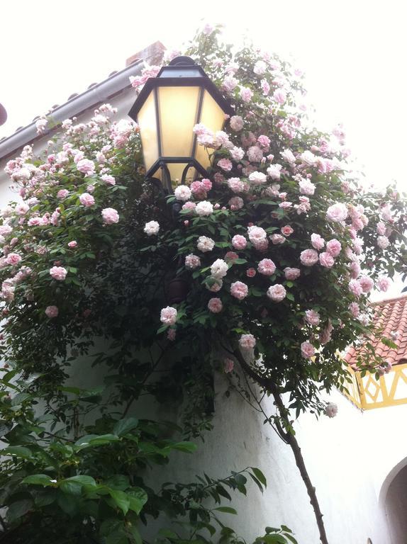 Patio Das Flores Ferreira Do Alentejo Exterior photo
