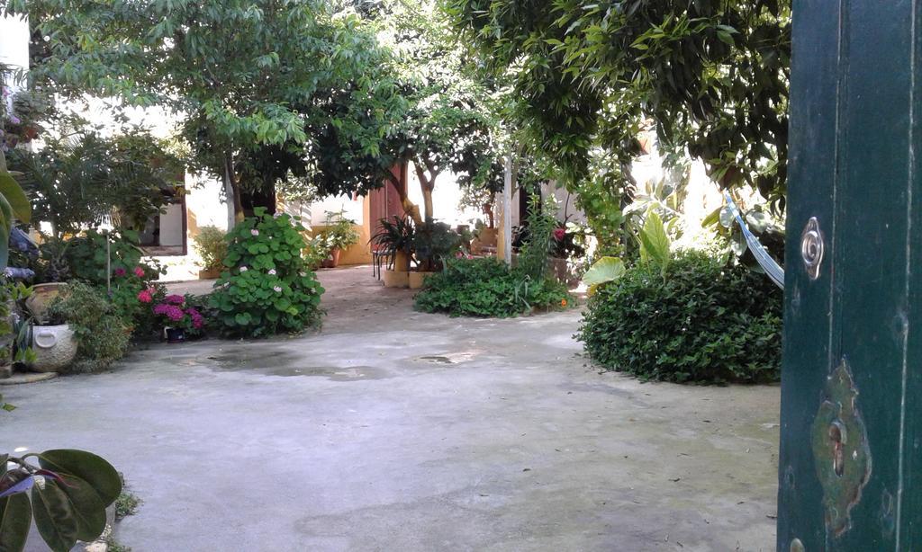 Patio Das Flores Ferreira Do Alentejo Exterior photo