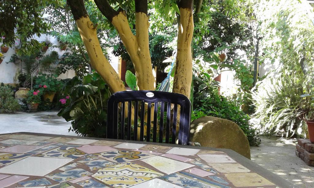 Patio Das Flores Ferreira Do Alentejo Exterior photo