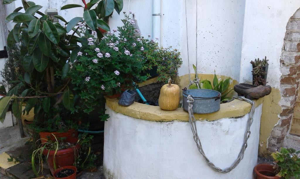 Patio Das Flores Ferreira Do Alentejo Exterior photo