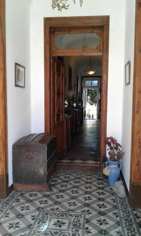 Patio Das Flores Ferreira Do Alentejo Exterior photo